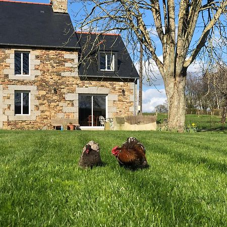 Maison Chic Proche Du Mont Saint Michel Marcilly  Exterior foto